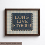 a framed cross-stitch design with the text "LONGLIVE BOYHOOD" displayed on it.