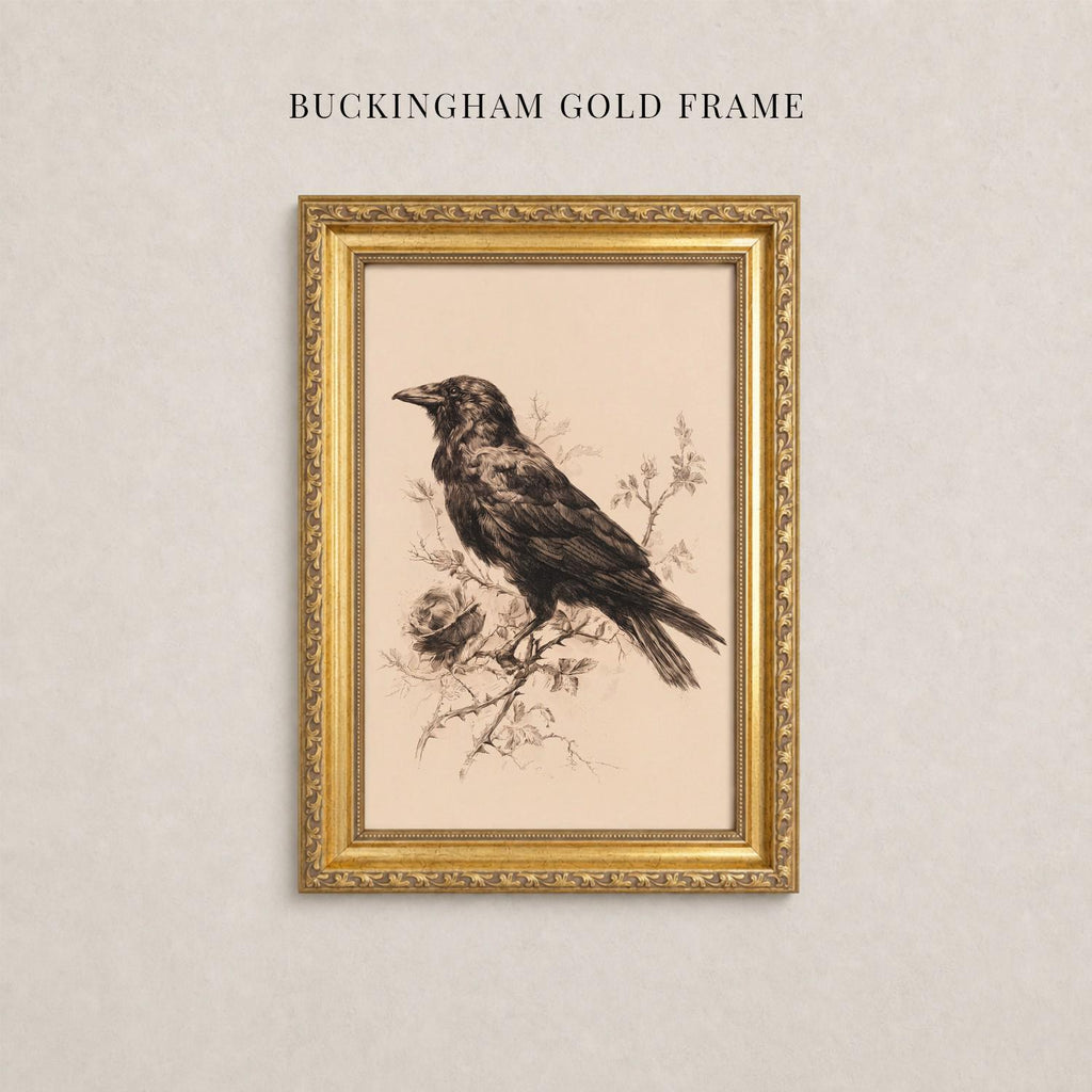 A framed illustration of a black bird perched on a branch, with a gold frame.