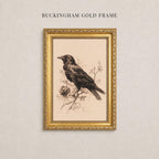 A framed illustration of a black bird perched on a branch, with a gold frame.