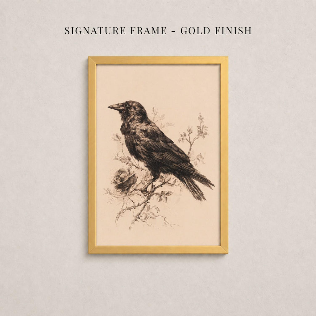a framed illustration of a bird perched on a branch, with a rose in the background.