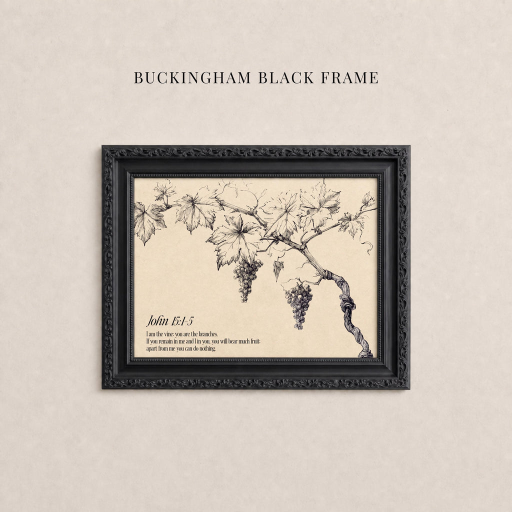 A black and white illustration of a vine with grapes hanging from it, framed in a black frame.