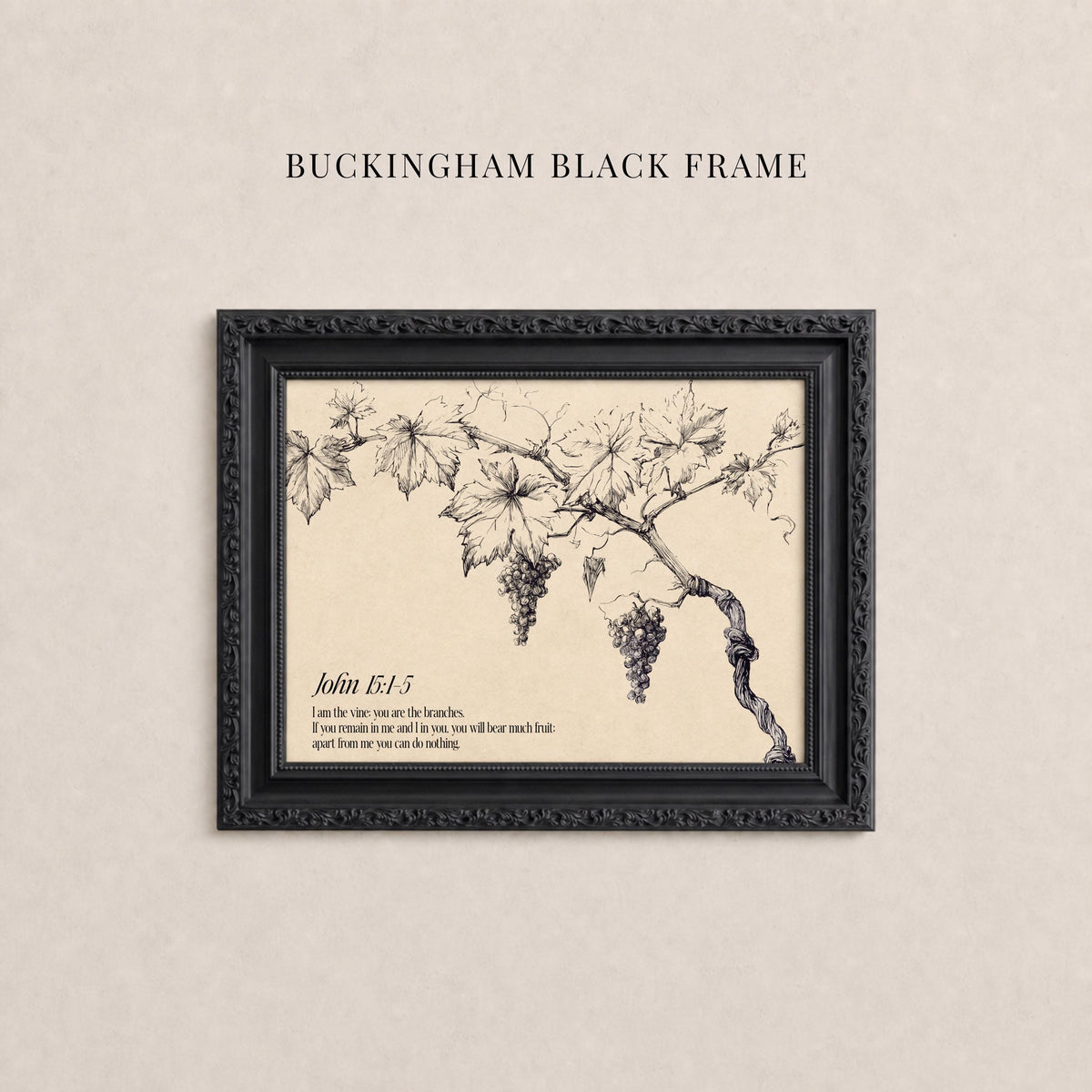 A black and white illustration of a vine with grapes hanging from it, framed in a black frame.
