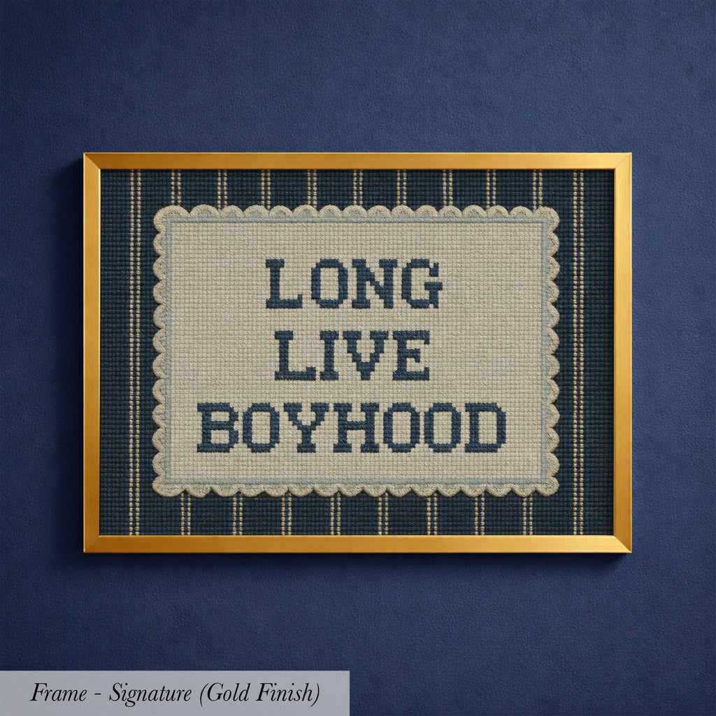 a framed cross-stitch design with the text "LONG LIVE BOYHOOD" displayed on it.