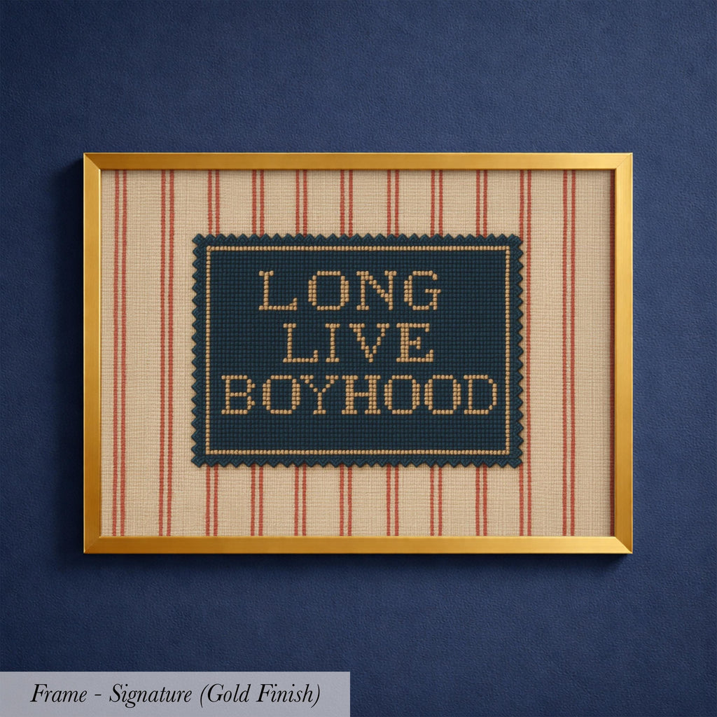 a framed piece of artwork with the text "LONG LIVE BOYHOOD" displayed on it.