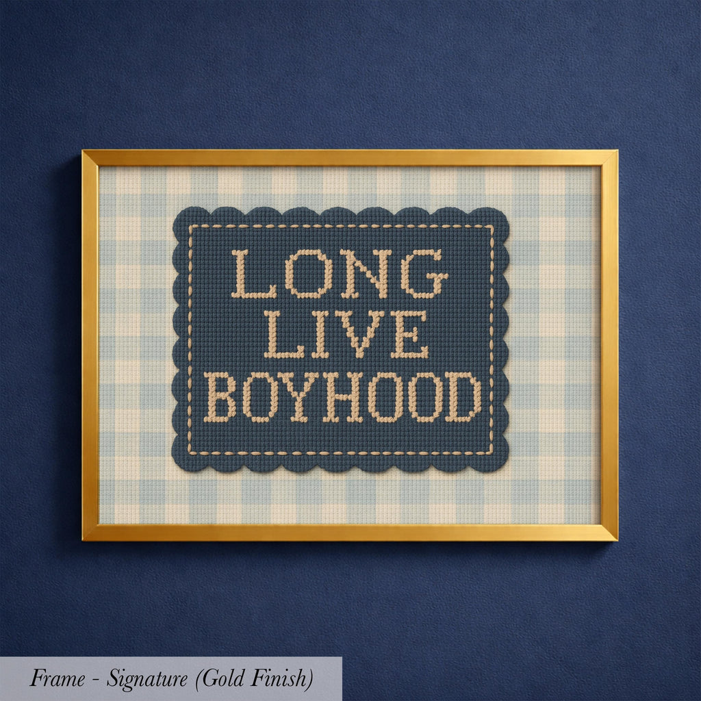 a framed cross-stitch design with the text "LONG LIVE BOYHOOD" displayed on it.