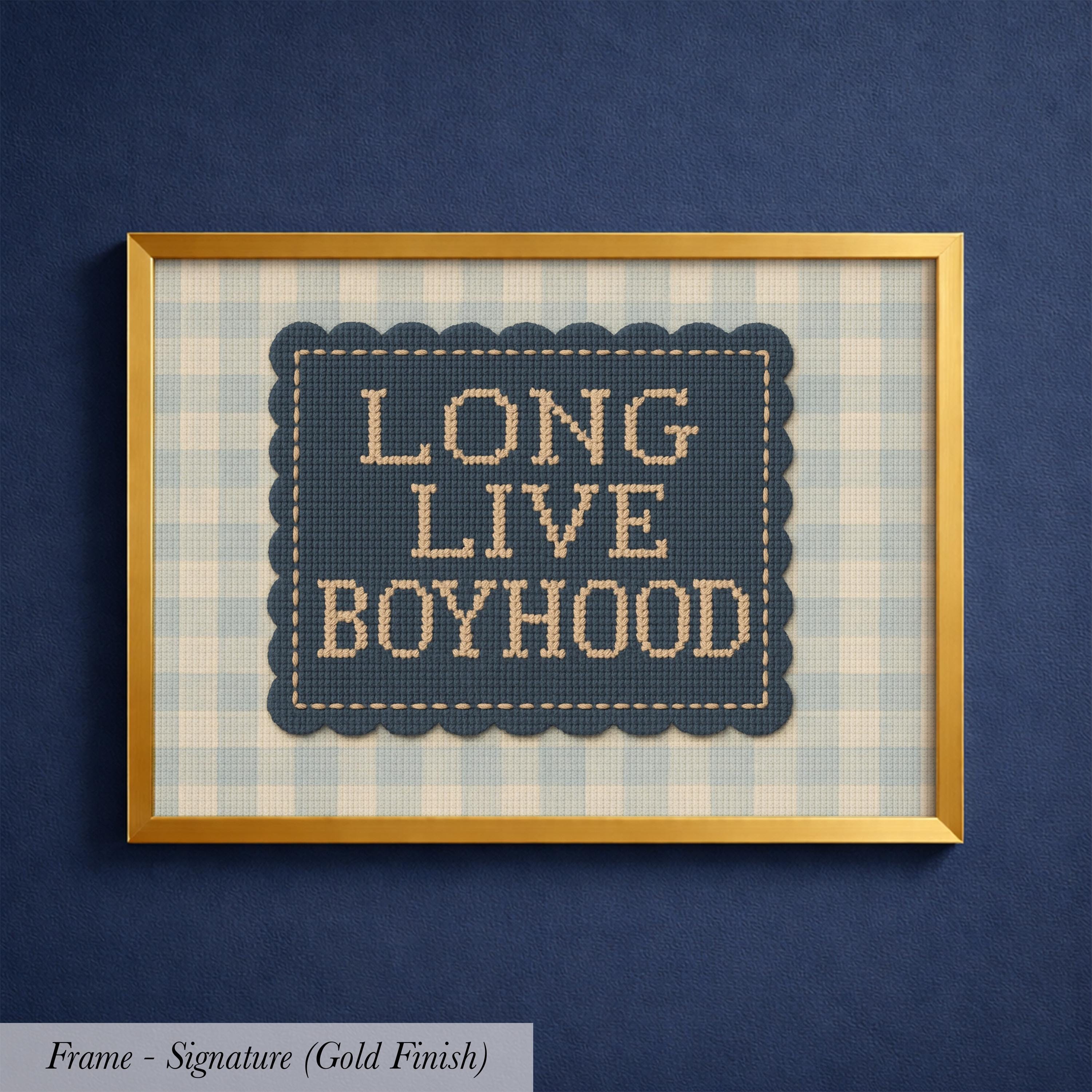 a framed cross-stitch design with the text "LONG LIVE BOYHOOD" displayed on it.