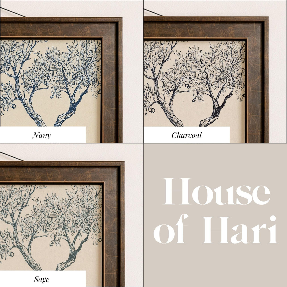 The image is a collage of four images, each depicting a different type of tree: Navy, Charcoal, Sage, and House of Hari.