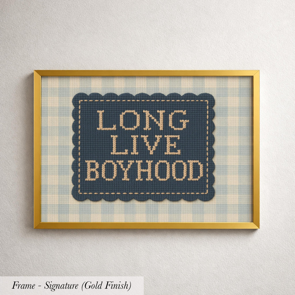 a framed cross-stitch design with the text "LONG LIVE BOYHOOD" displayed on it.