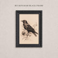 A framed black and white illustration of a bird perched on a branch.
