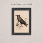 A framed black and white illustration of a bird perched on a branch.