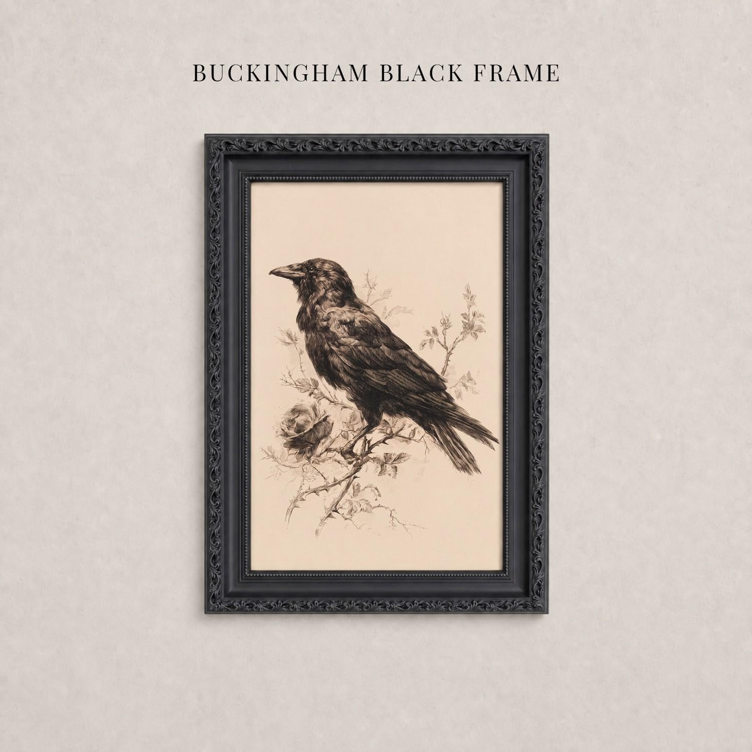 A framed black and white illustration of a bird perched on a branch.