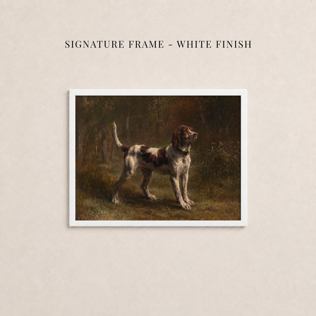 Vintage sporting dog art print in a white frame
