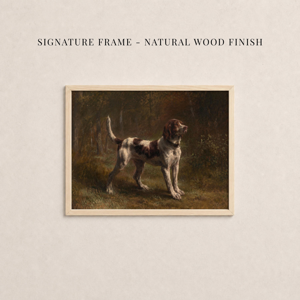 Vintage sporting dog art print in a natural wood frame