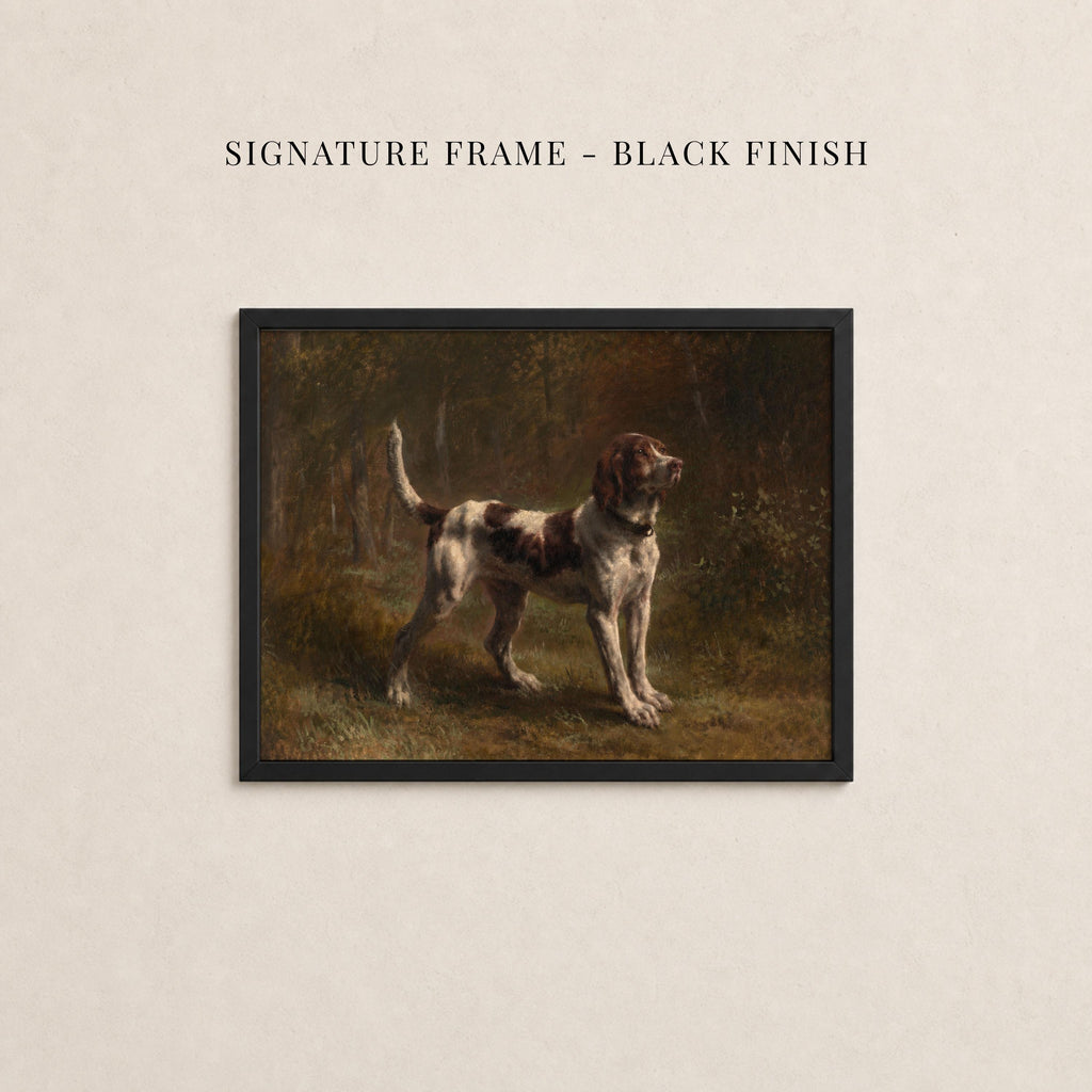 Vintage sporting dog art print in a black frame